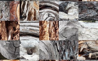 25 Shades of Wood